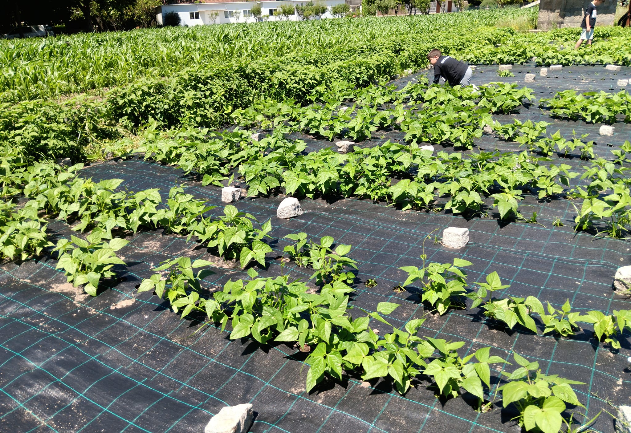 Feature School Portugal